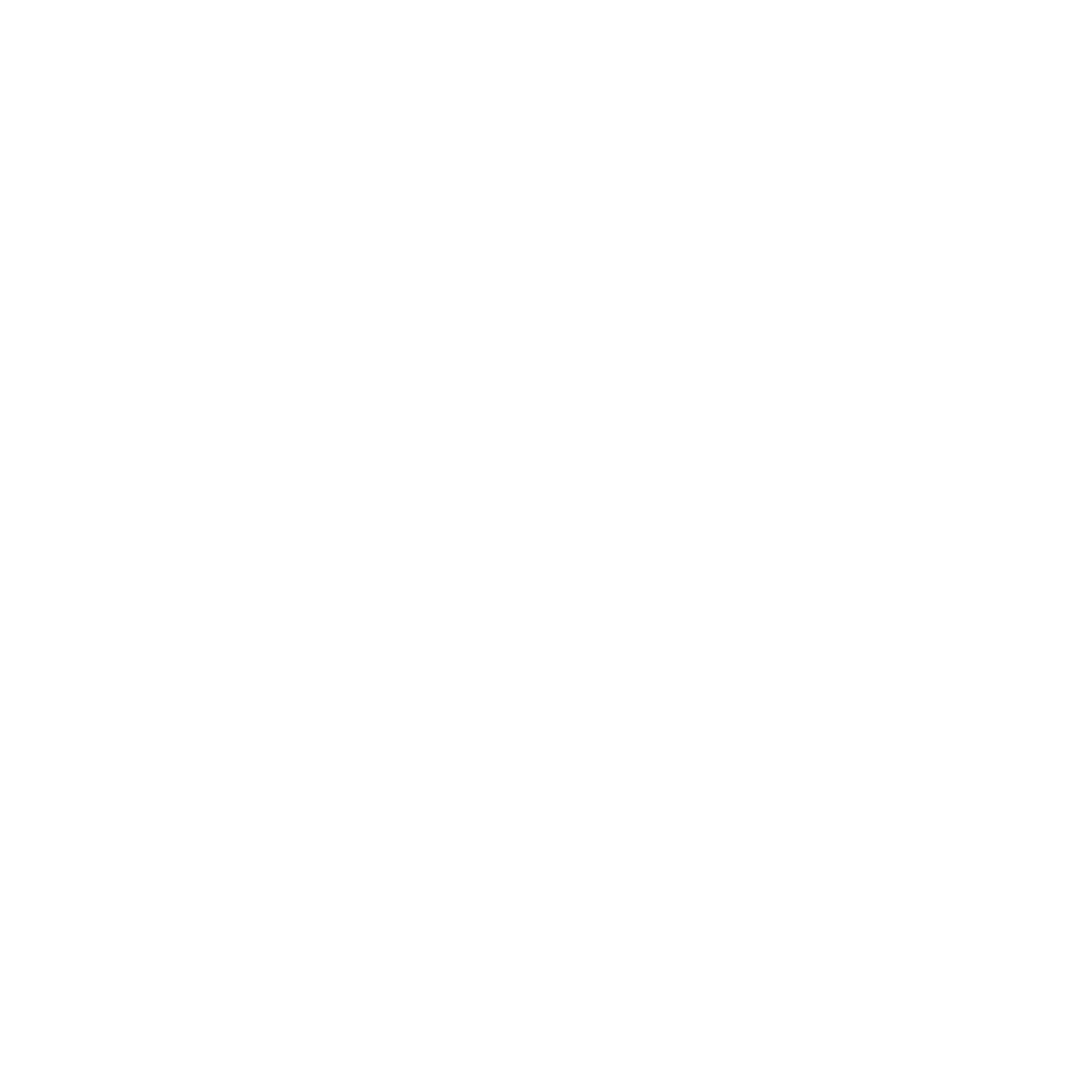 Nimpor Logo