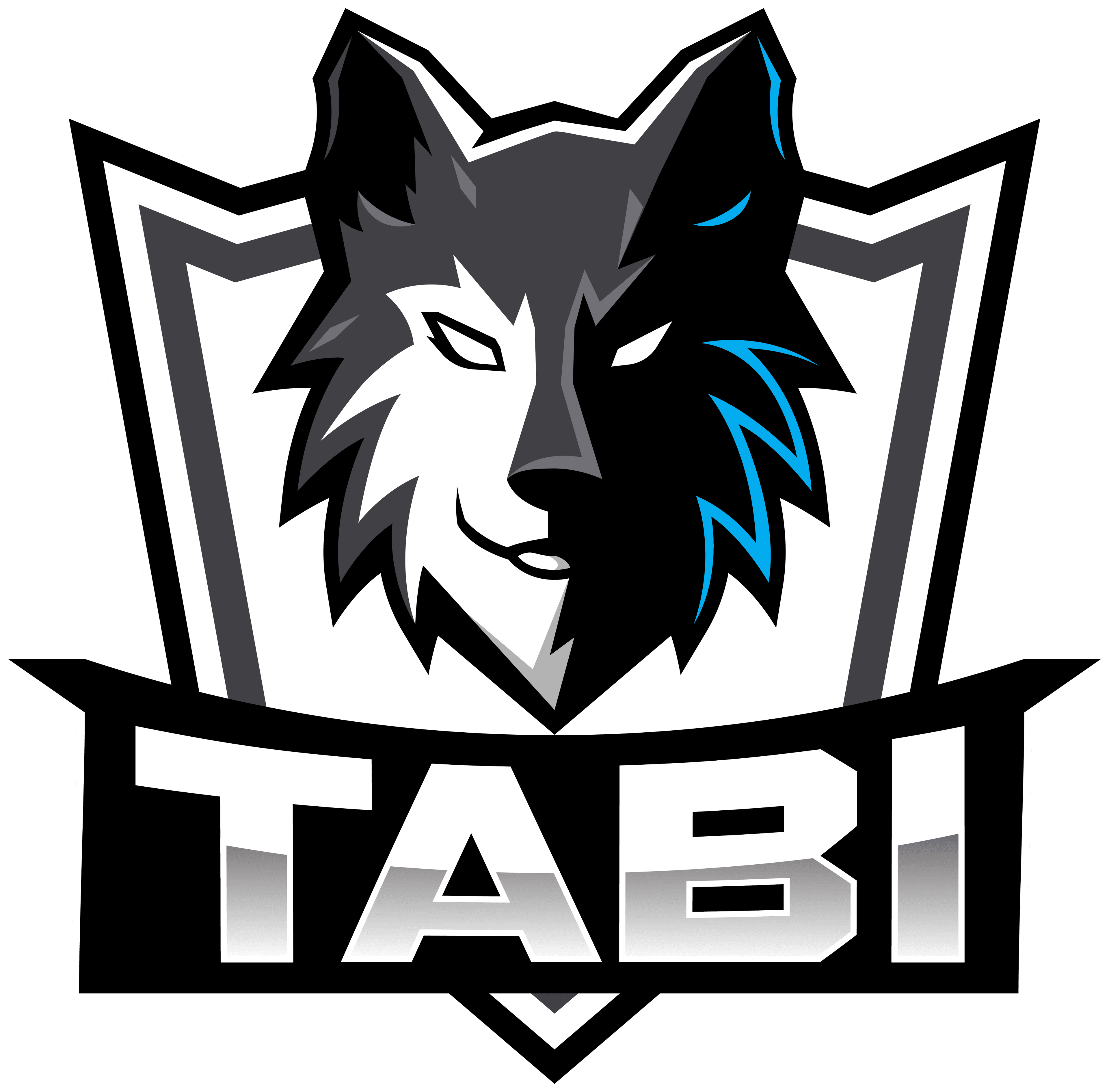 TABI.TEAM Logo